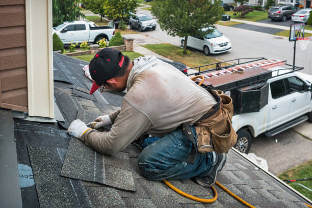 Professional Storm Damage Roof Repair technician working in Saint David, IL